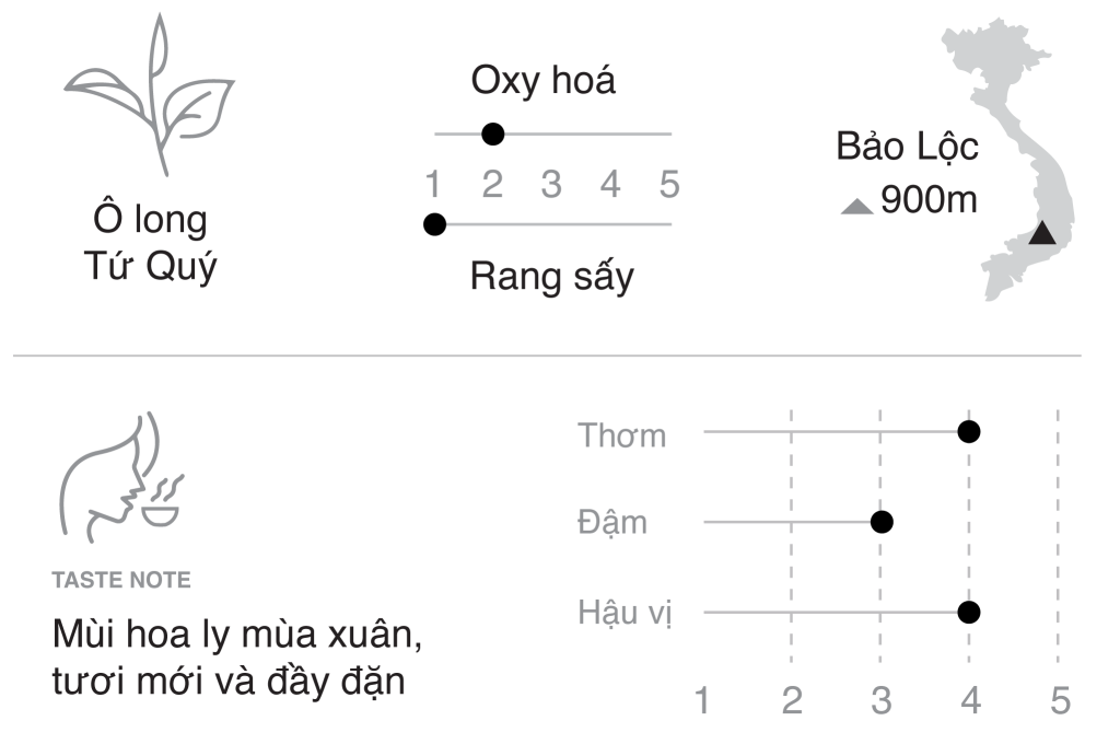 Trà ô long xanh - bảng mô tả hương vị 