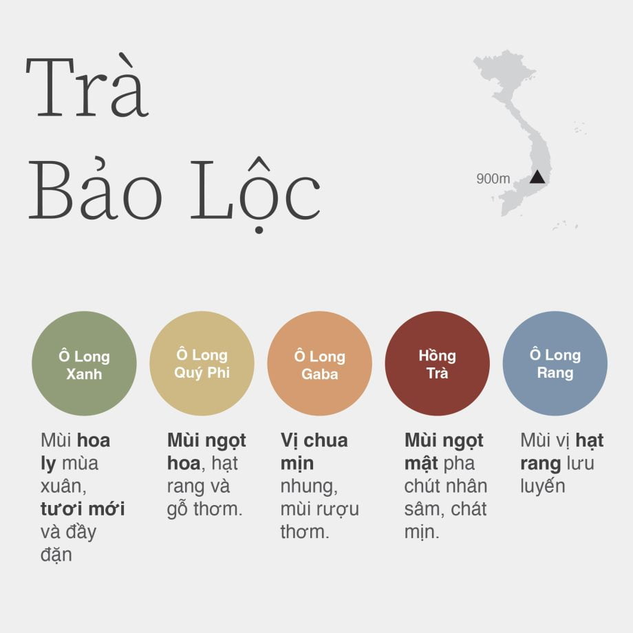 Trà Tết - Ngũ Phúc Lâm Môn